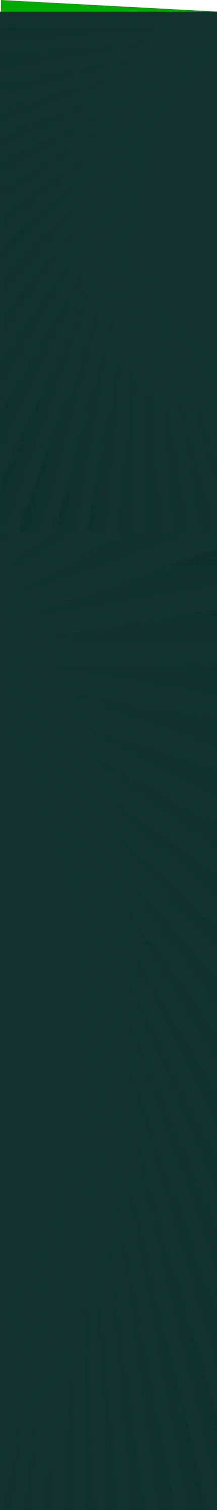 Footer Background